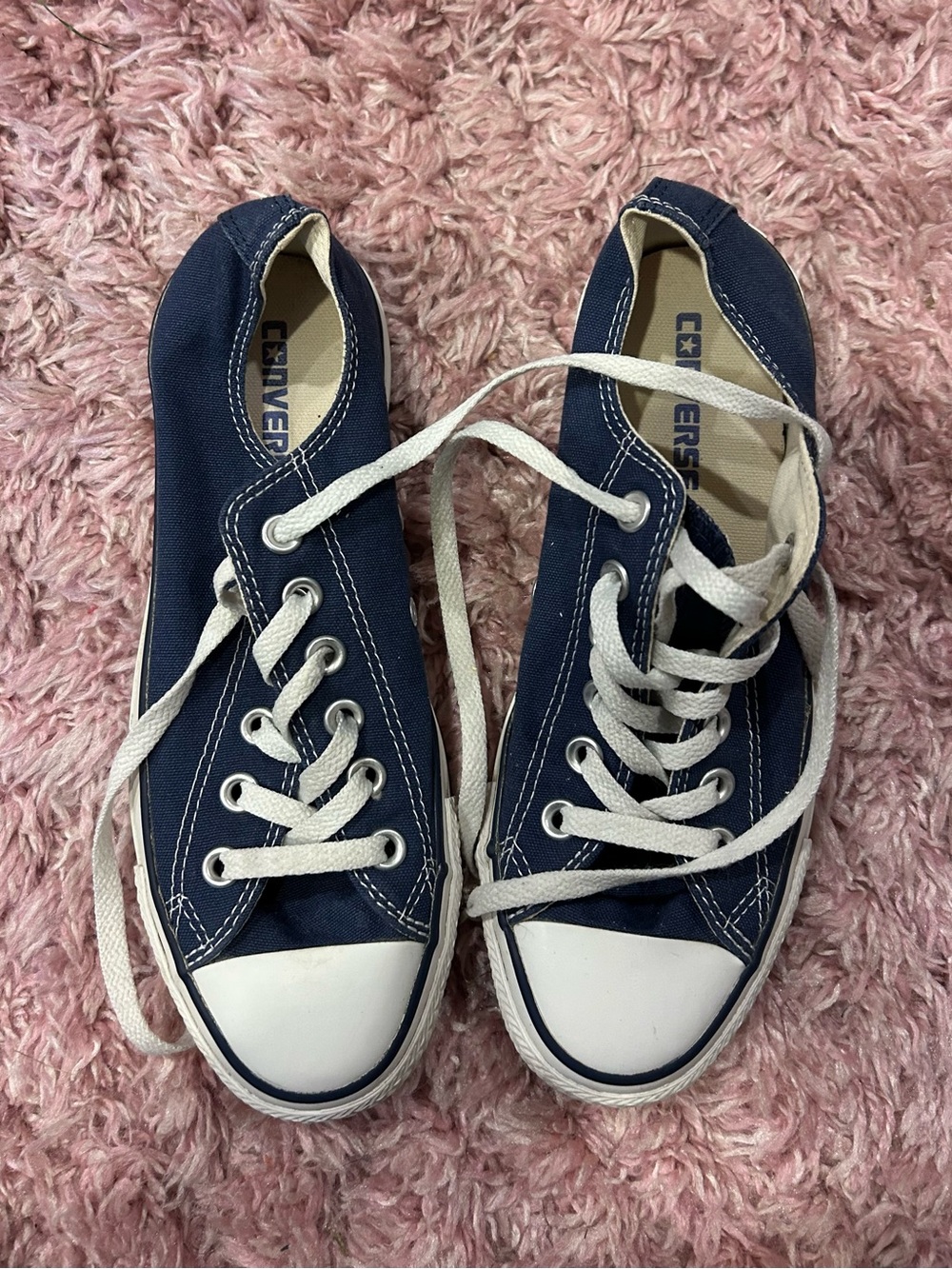 Converse Navy and White Low-Top Canvas Sneakers